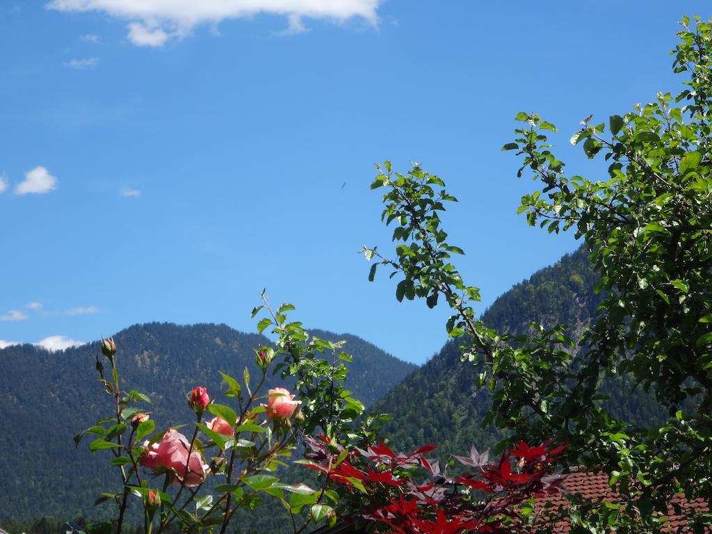 Alpin-Check-In Apartman Reutte Szoba fotó