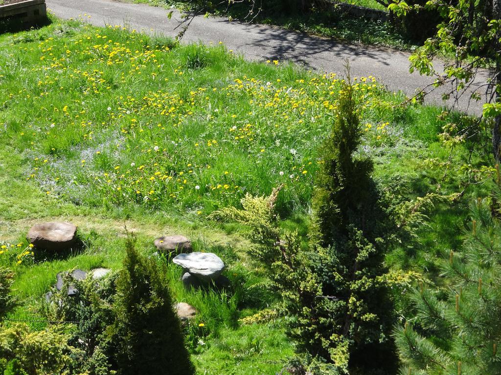 Alpin-Check-In Apartman Reutte Szoba fotó